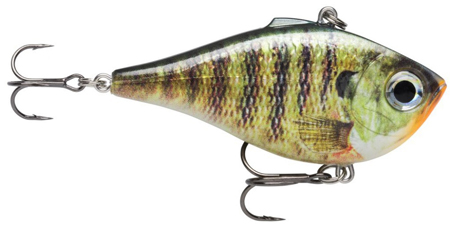 (BGL) Live Bluegill